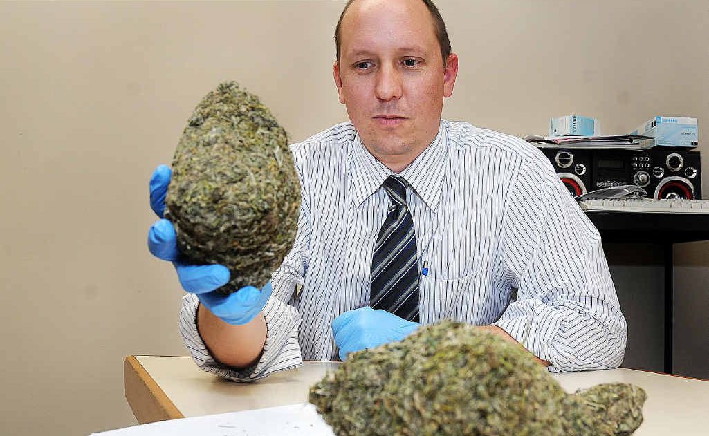 Detective Senior Constable Brett Everest with some of the marijuana seized during drug raids. Detective Senior Constable Brett Everest with some of the marijuana seized during drug raids.